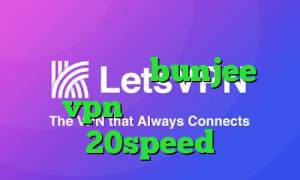 دانلود تیک تاک برنامه ی تیک تاک ایرانی سایت bunjee vpn دانلود کانکشن 20speed