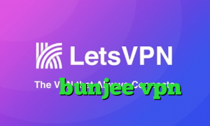 دانلود کانکشن هوشمند تیک نت کانکشن رایتل ای پی کشور ترکیه سایت bunjee vpn