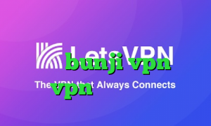 سایت وی آی پی وی پی ان فیلتر شکن کم مصرف bunji vpn خرید vpn مخصوص ایفون