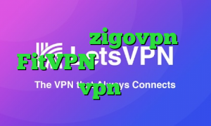 اپلیکیشن zigovpn FitVPN دانلود کانکشن ها خرید vpn از شاتل