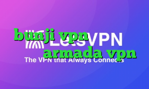 سایت ایران سیف وی پی ان bunji vpn ورود به تیک تاک بت armada vpn دانلود