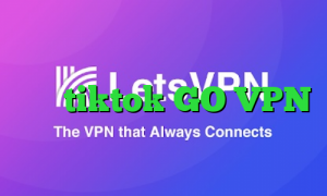 وی پی ان از کشور گرنادا وی پی ان برای tiktok GO VPN دانلود کانکشن کریو برای کامپیوتر